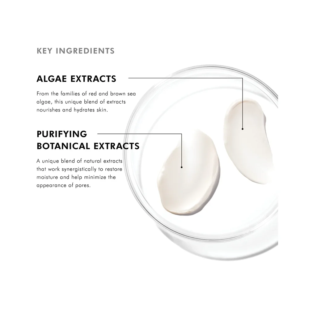 SkinCeuticals Daily Moisture — 第 3 张照片